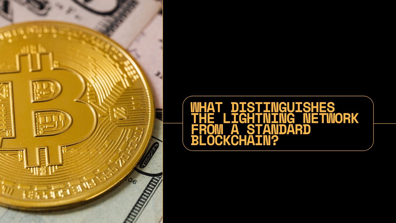 BTC Lightning Network